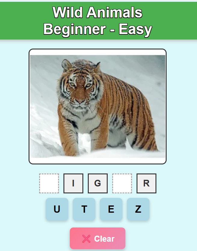 Beginner